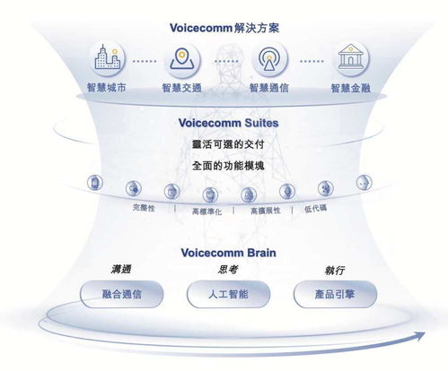 聲通科技赴港上市 盈利雙增、資本與院士雙重加持，通信技術(shù)研發(fā)咨詢賽道迎新銳