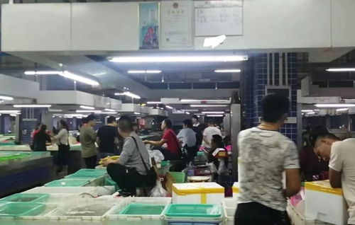 曝光 斗門白藤頭水產(chǎn)批發(fā)市場設(shè)立 黑榜 ,這幾個(gè)攤位被停業(yè)整頓
